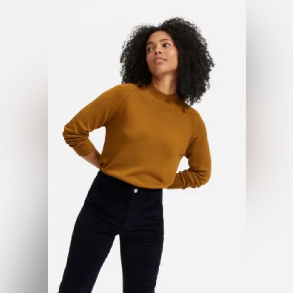 Like NEW! EVERLANE mockneck sweater